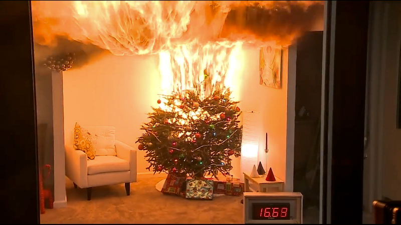 See how an unwatered Christmas tree can quickly catch on fire