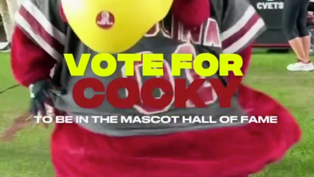 Vote for Cocky to be in the Mascot Hall of fame.