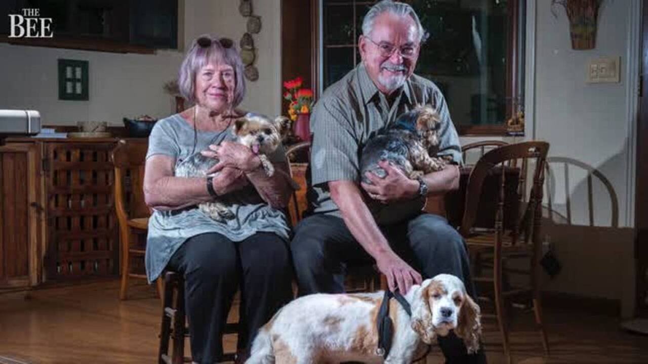 Melo, blind and deaf cocker spaniel, makes himself at home with Elk Grove couple