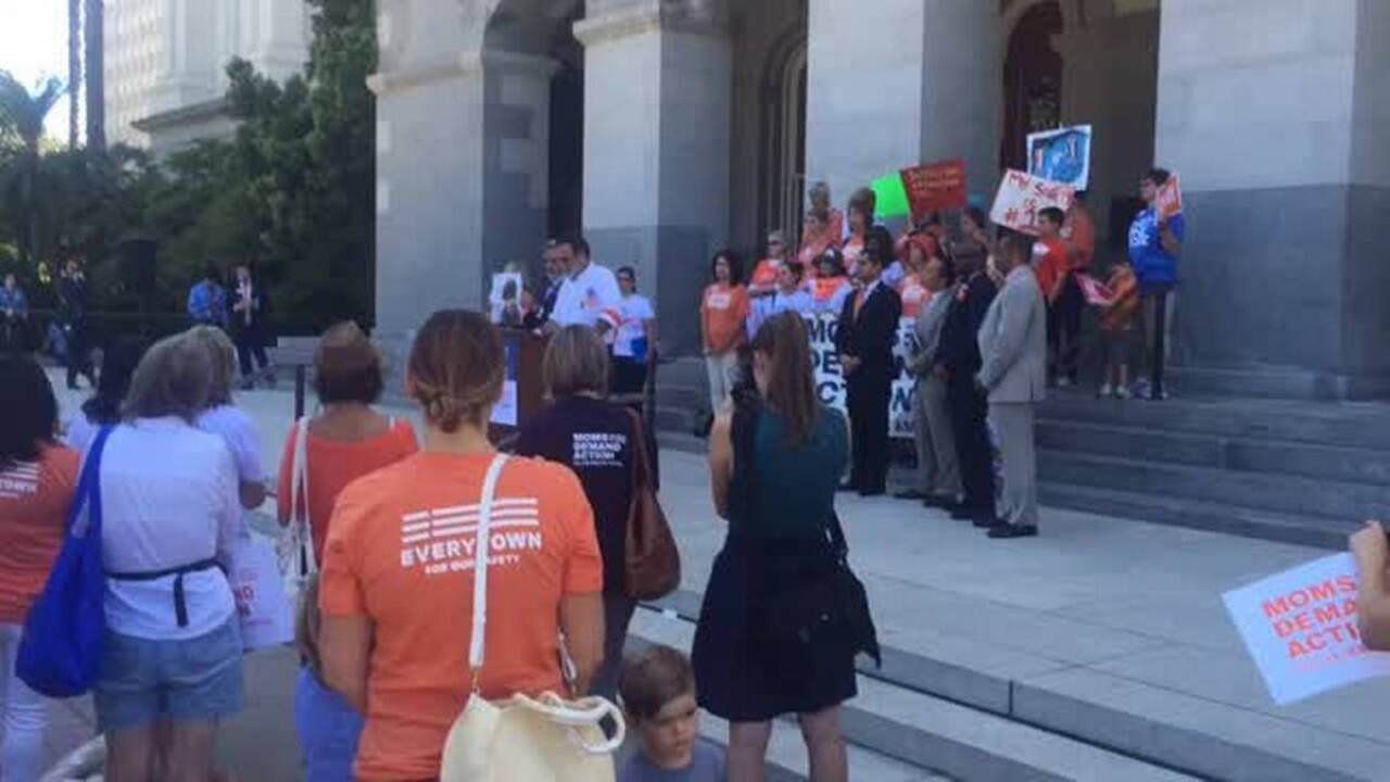 Assemblyman urges change to Second Amendment