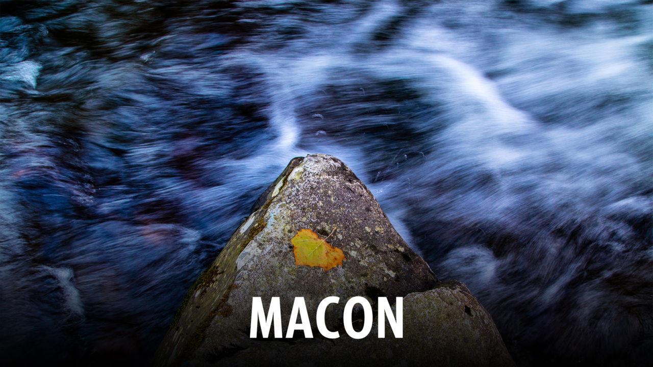 This quaint NC town puts the ‘gem’ in hidden gem, Southern Living says