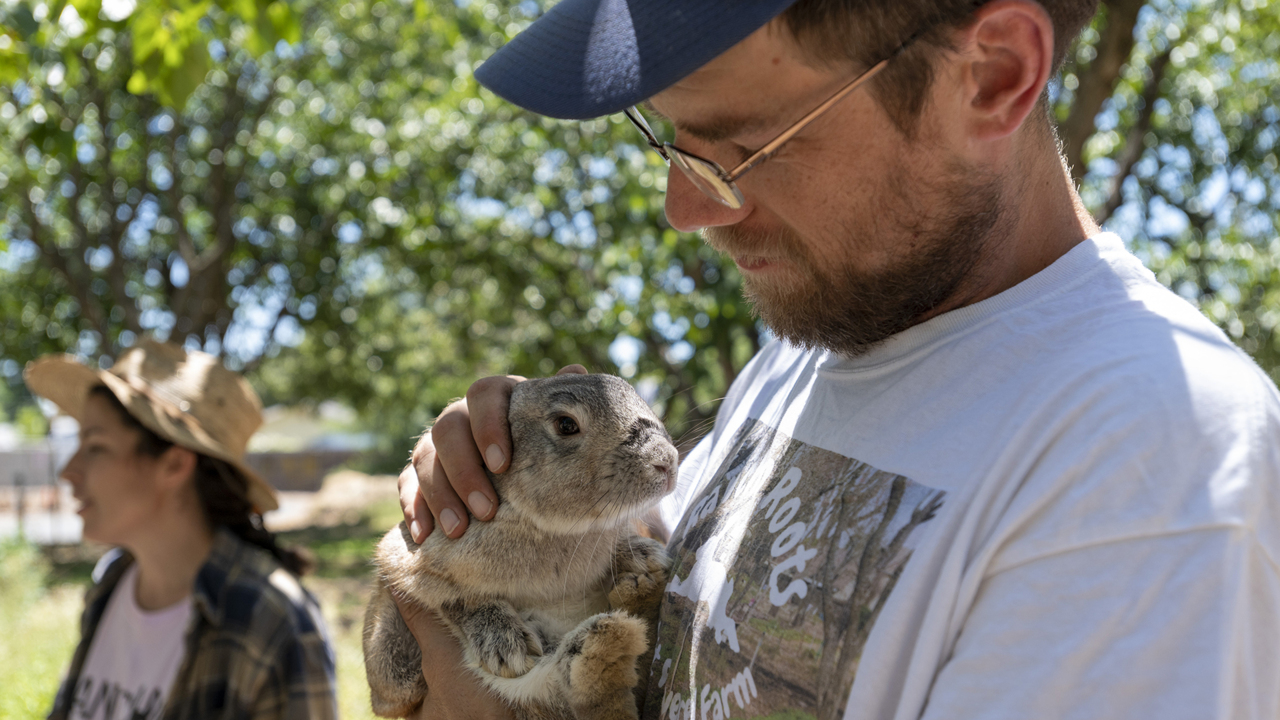 Learn about how Mr. Lavender the rabbit helps this farm be more sustainable