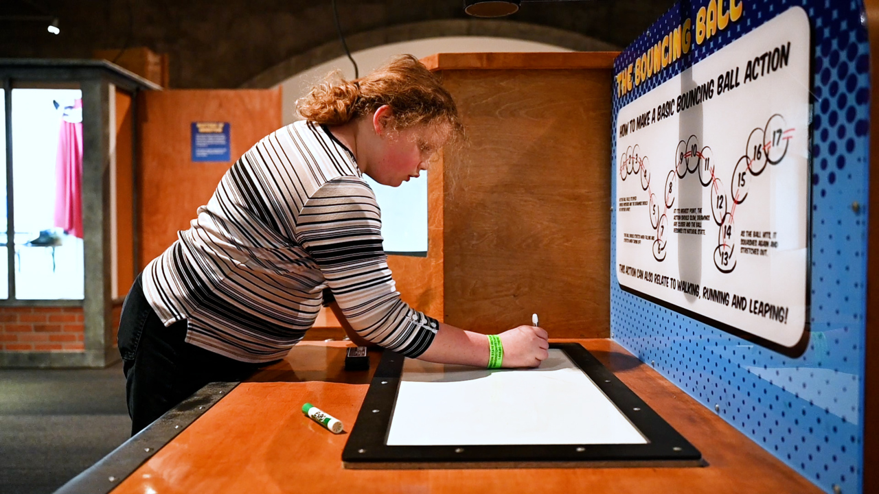 Animation show at Washington History Museum will bring out your inner cartoonist