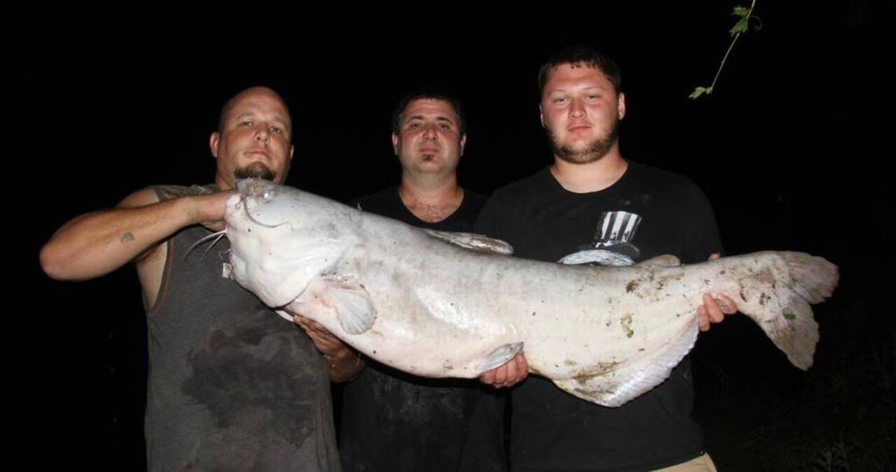 Catching monster fish in Kansas