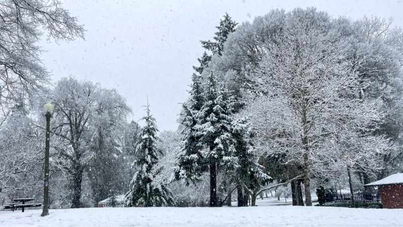 Snowfall arrives in Pierce County; Tacoma forecast update
