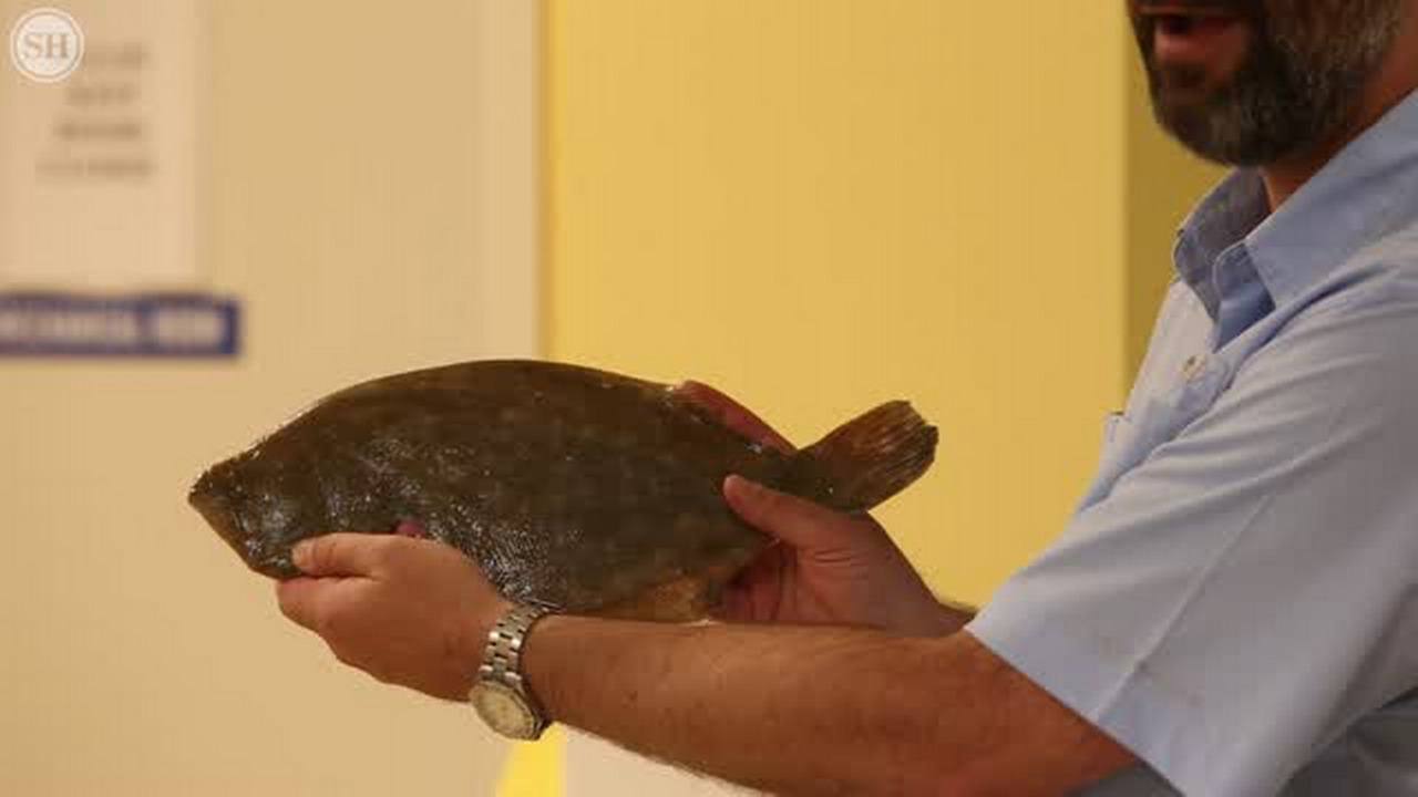 How to filet a flounder
