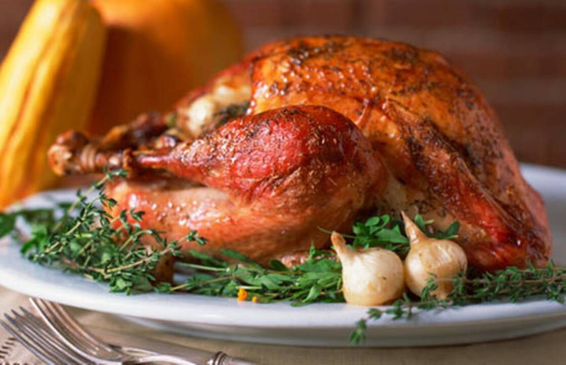 6 holiday foods you love but can kill your pet