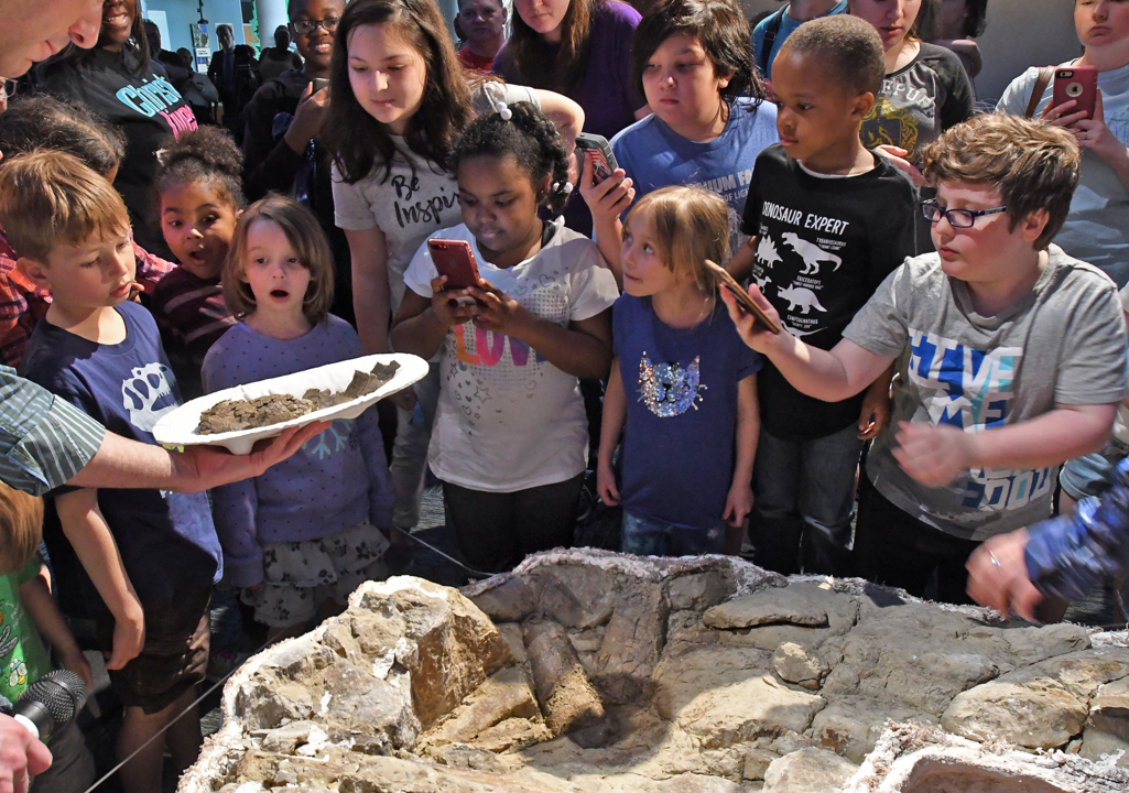 Rare eggs from a 15-foot-tall, chicken-like dinosaur are unveiled at NC museum