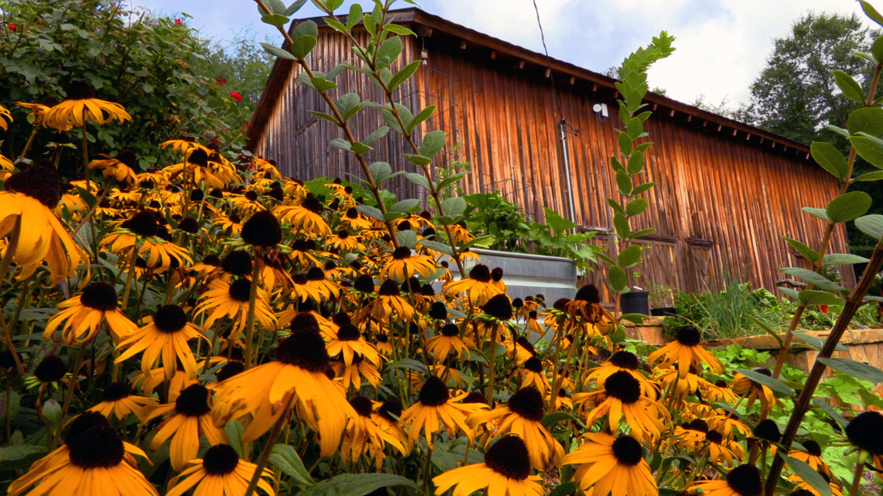 Sneak Peek: Columbus Botanical Garden set for July 1 reopening
