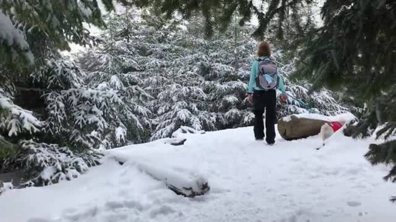 Trail of the Week: West Tiger 3 in Tiger Mountain State Forest