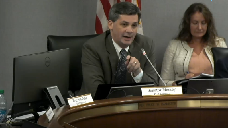 Cost of proposed gas plant estimated by CEO in August 2024