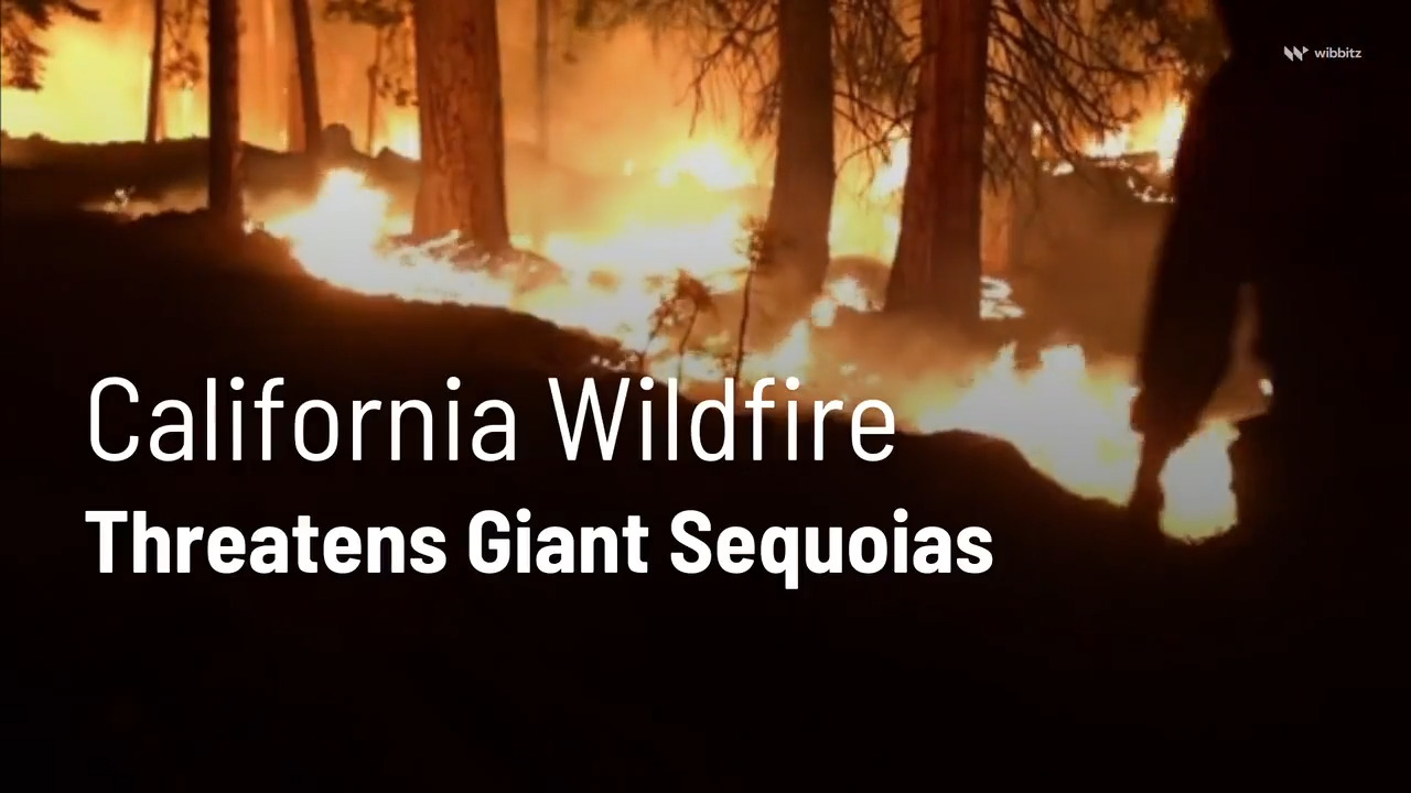 California wildfire threatens giant sequoias in Yosemite National Park