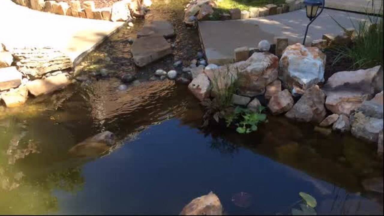 A pond at the front door