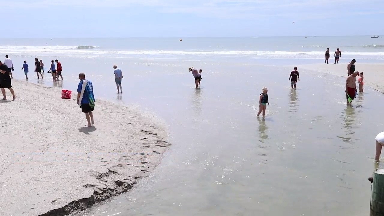 What to know about bacteria and swim advisories along Grand Strand beaches