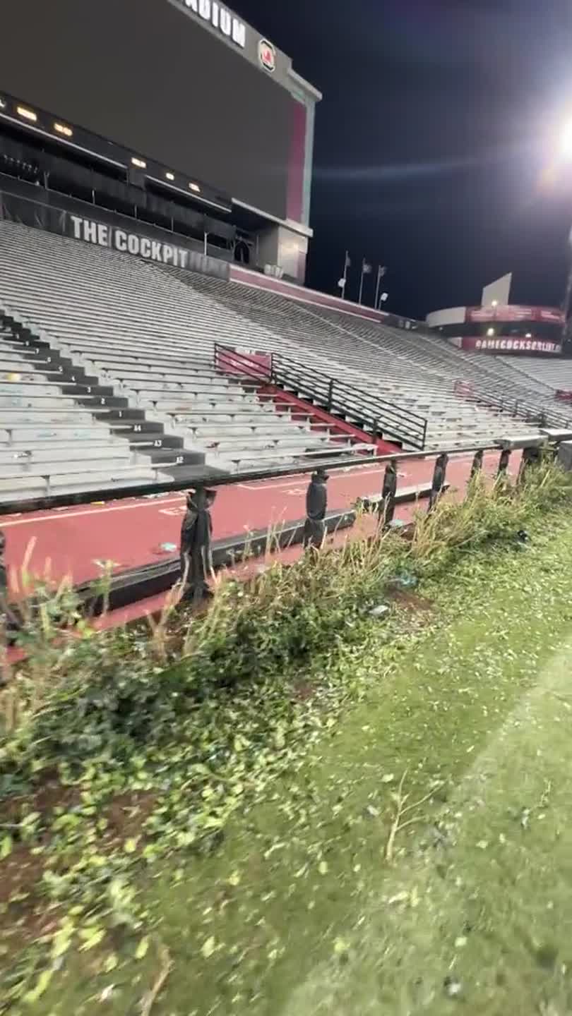 The Williams-Brice Stadium hedges after the field-storming