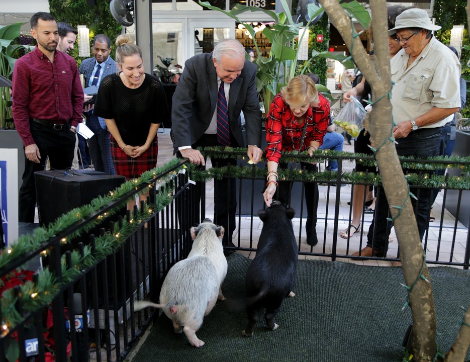Miami-Dade County Mayor Carlos Gimenez pardons two pigs