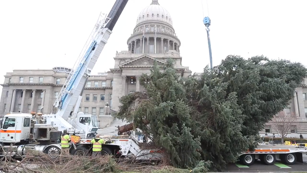 In 60 seconds: Capitol Christmas Tree goes up