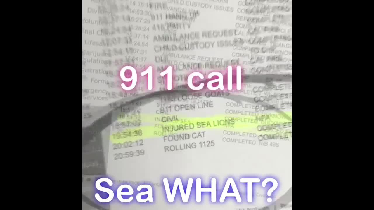Injured sea lions found where? Merced County park?