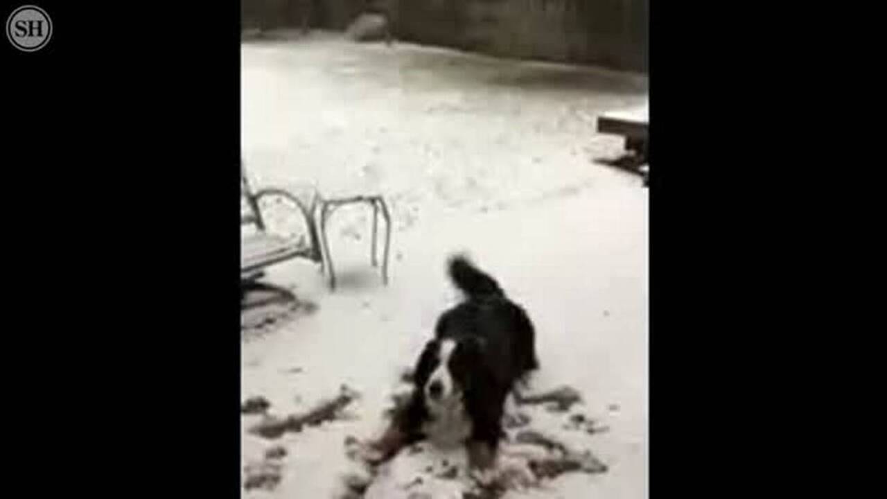 Winter storm warning includes snow, icy roads, closings for South MS. Here’s the latest