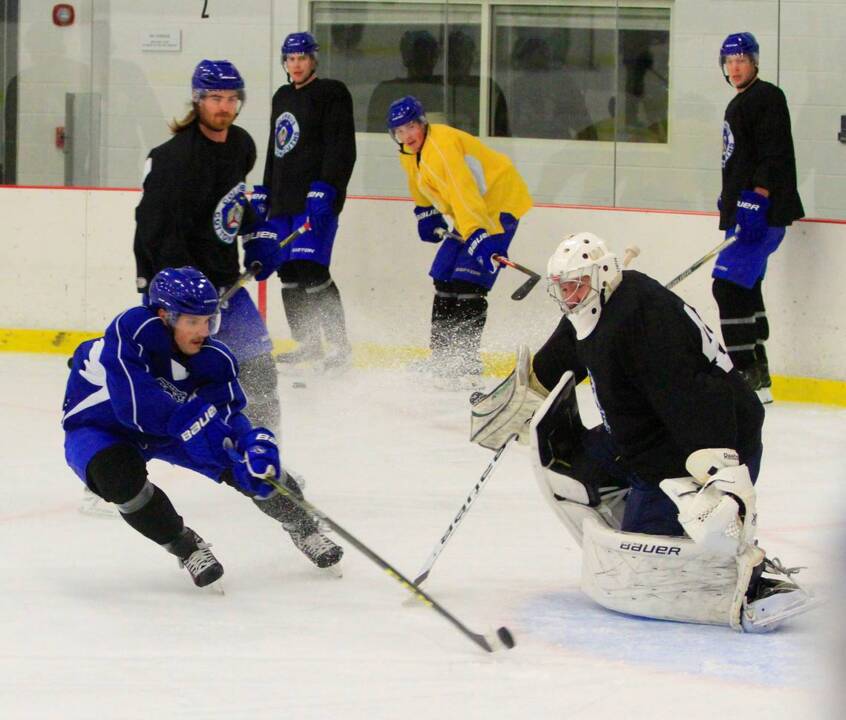 Newest forward in training camp has long education in hockey