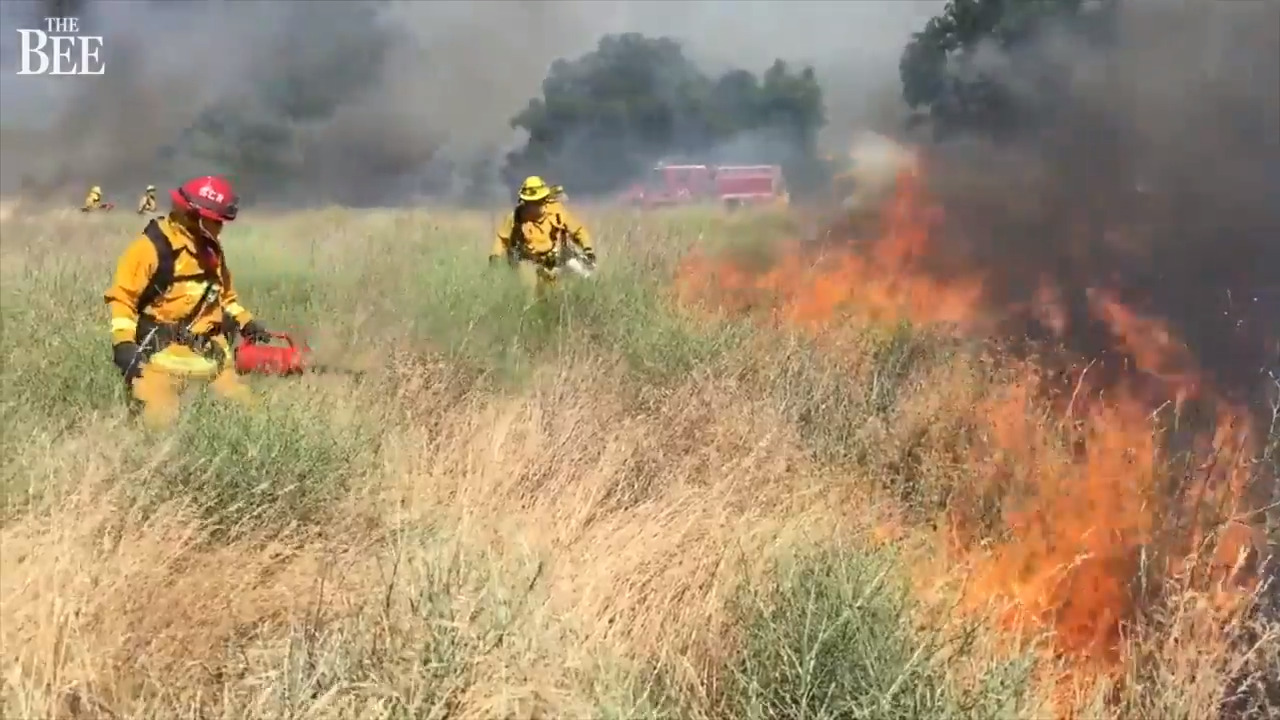 American Lung Association is OK with smoke from prescribed forest burns. Here’s why
