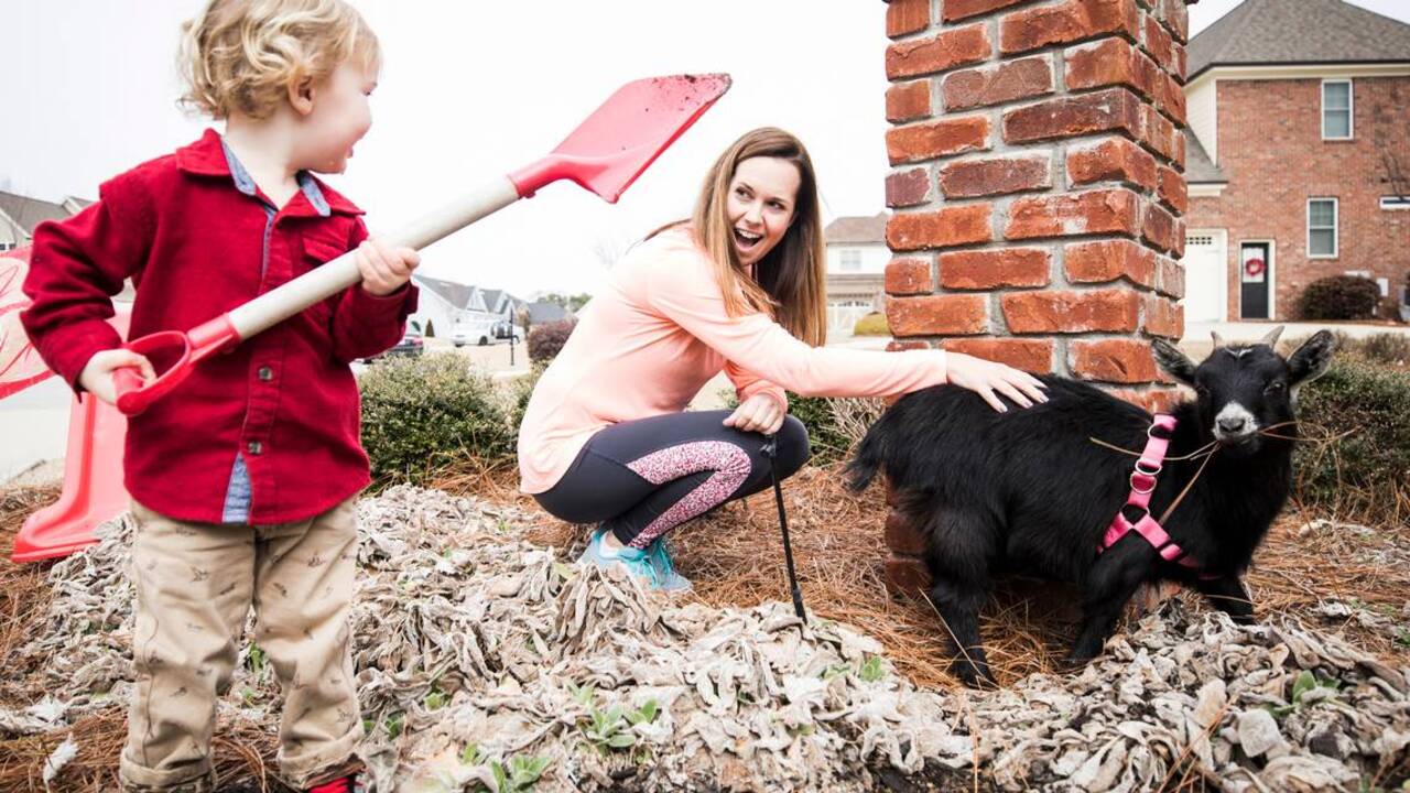 Goats make this Valentine’s Day adorable