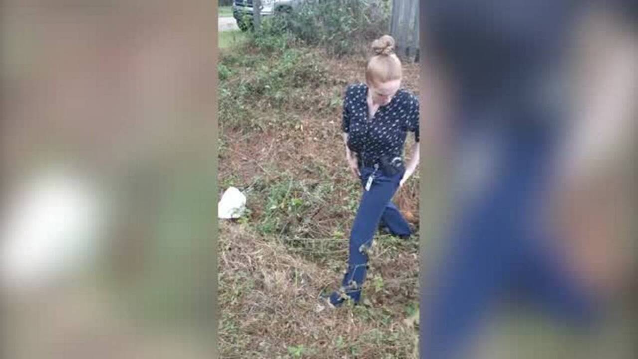 Watch as Florida cop wrangles anaconda while partner shoots video