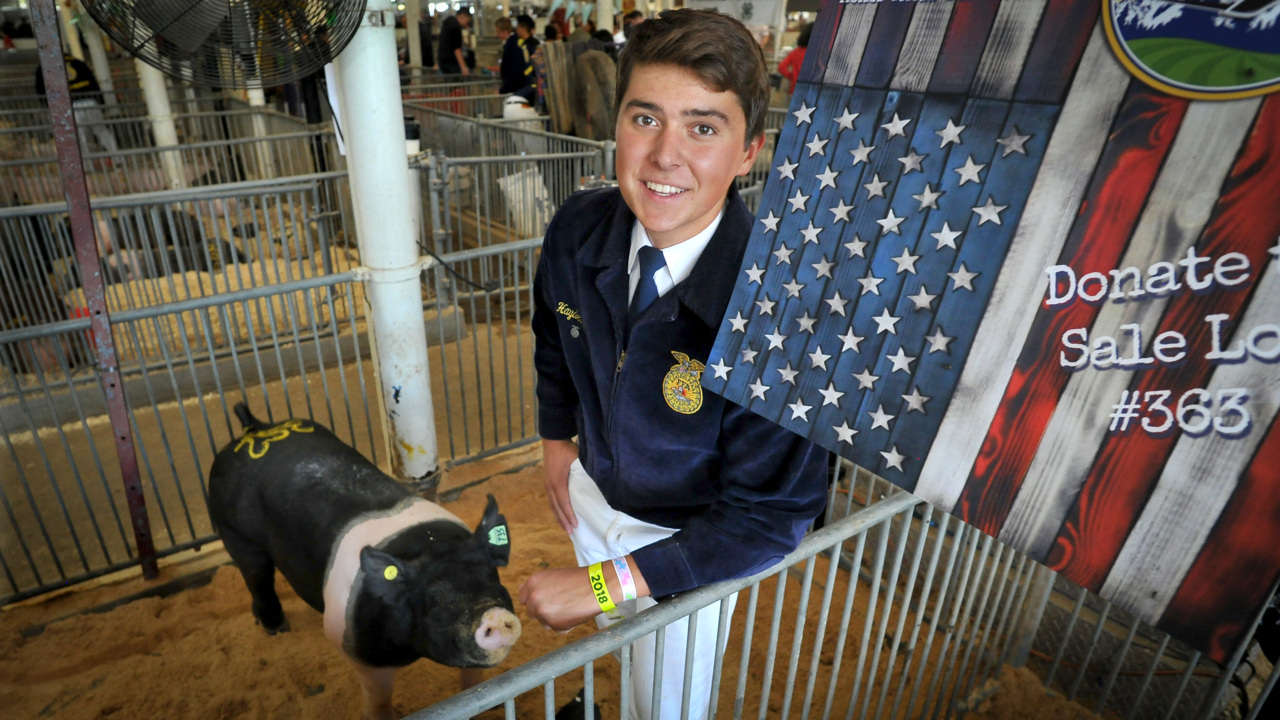 How much is this pig worth? Enough to fly local veterans to D.C.