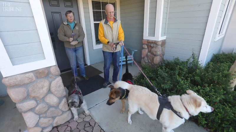 The long goodbye, memory loss impacts on one family