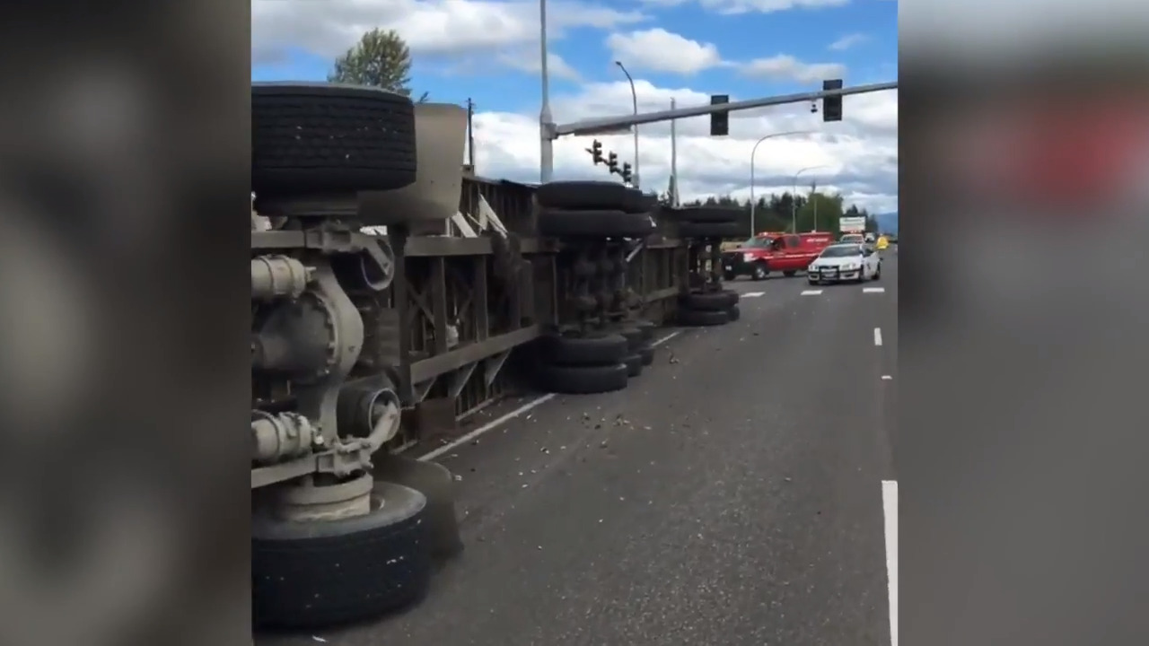 Truck tip over spills chickens on the highway