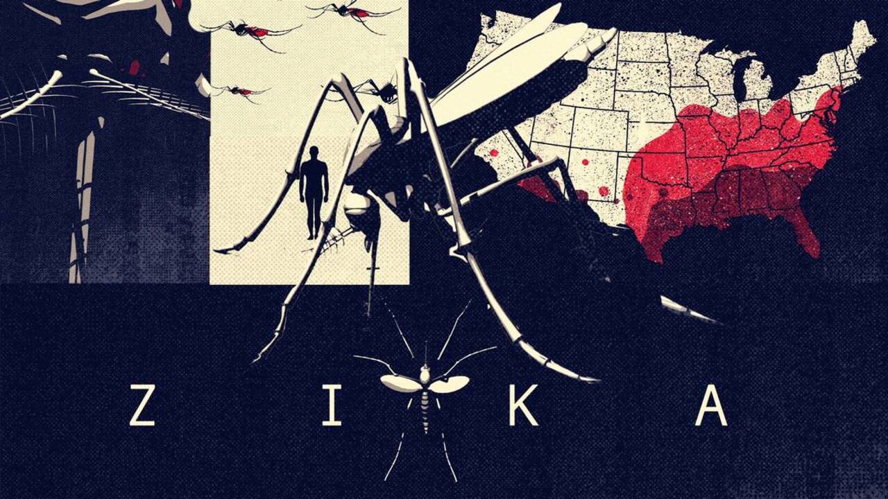 Despite Zika threat, plan to test ‘Franken-fly’ in Keys remains in federal review limbo
