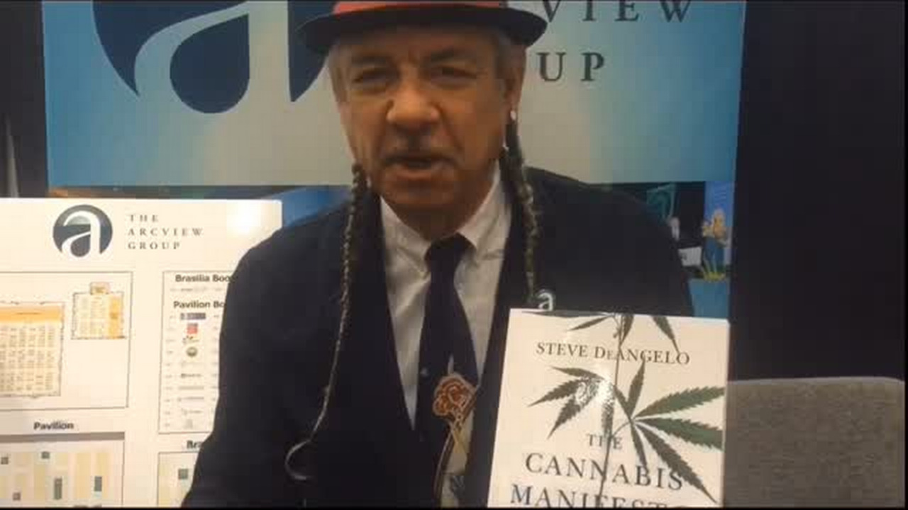 Video: Going to Cannapalooza