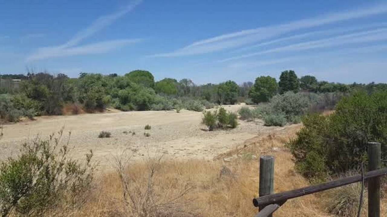 Flora and Fauna of the Salinas River Walk