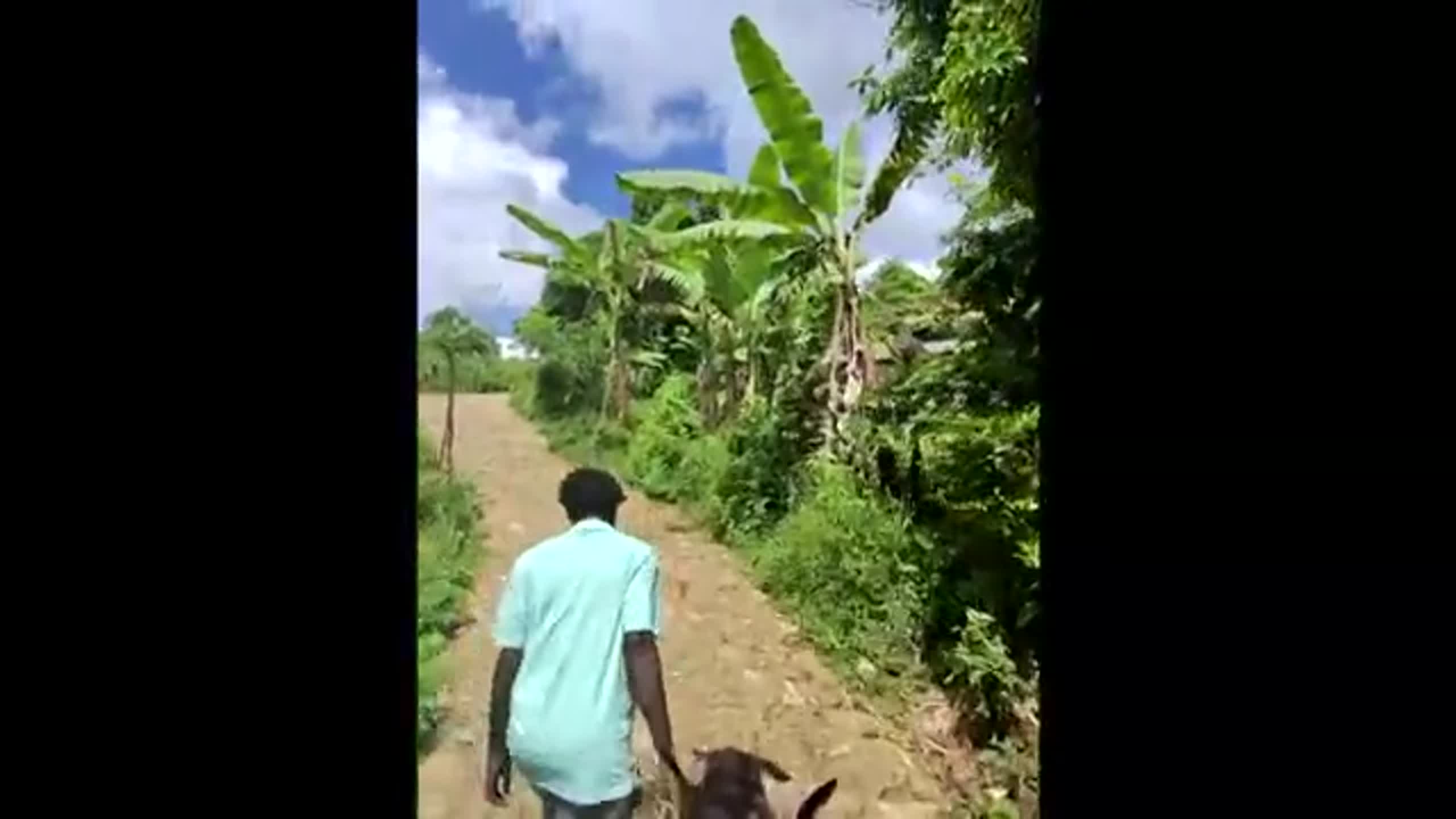 Haiti’s Citadelle tragedy: Dozens die in stampede while trying to escape historic fortress