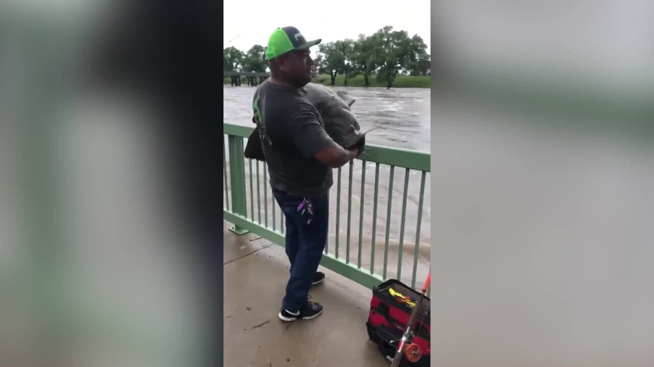 Fisherman catches 56-pound catfish in Arkansas River