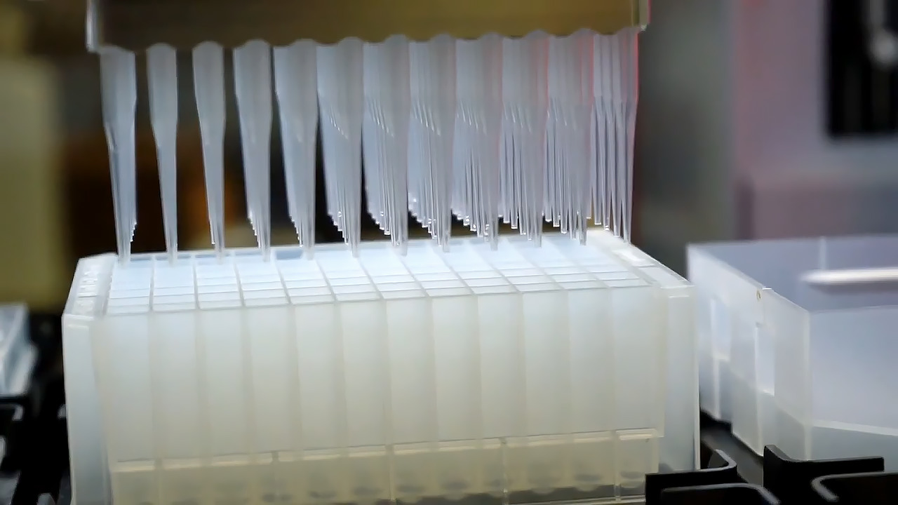 Common lab molecule surprises researchers with potential cancer-fighting properties