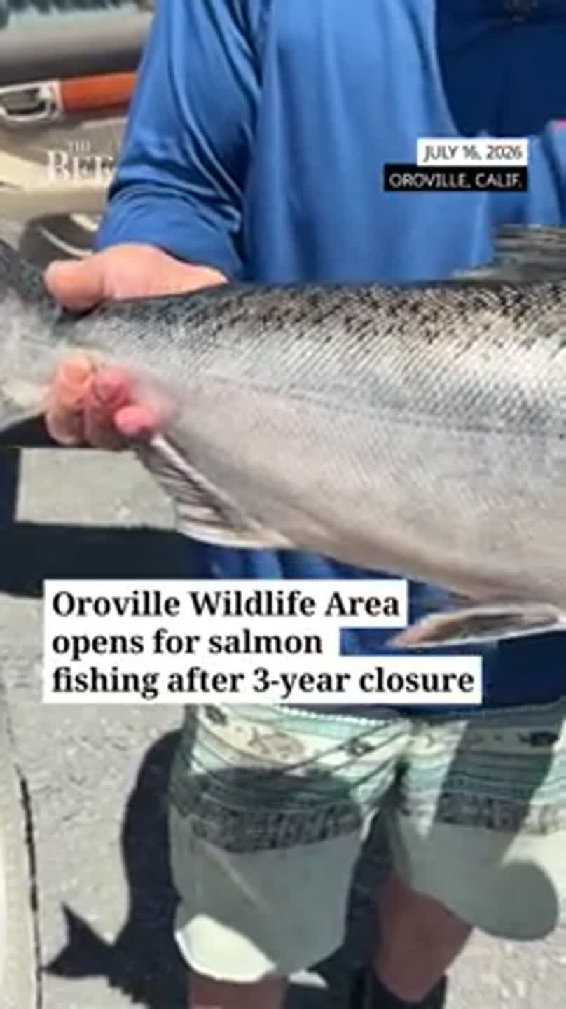 See salmon fishing return to Oroville Wildlife Area for the first time in 3 years