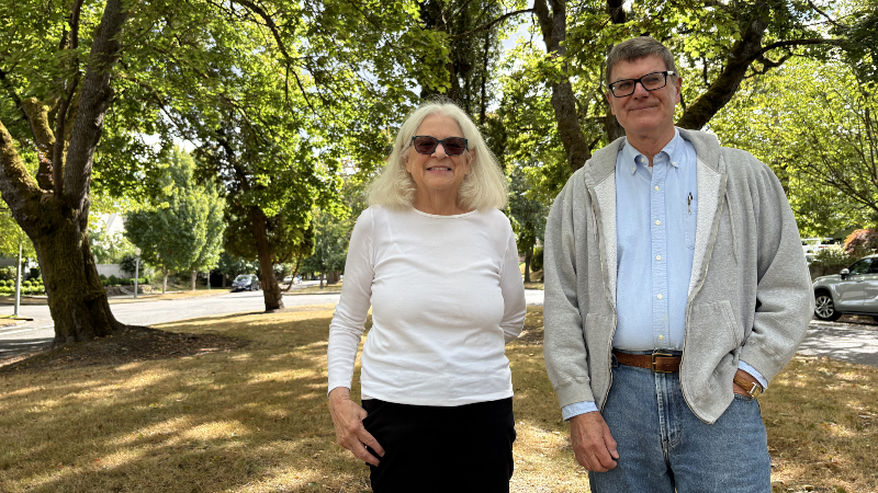 What makes the medians on Tacoma's North Union Avenue so special?