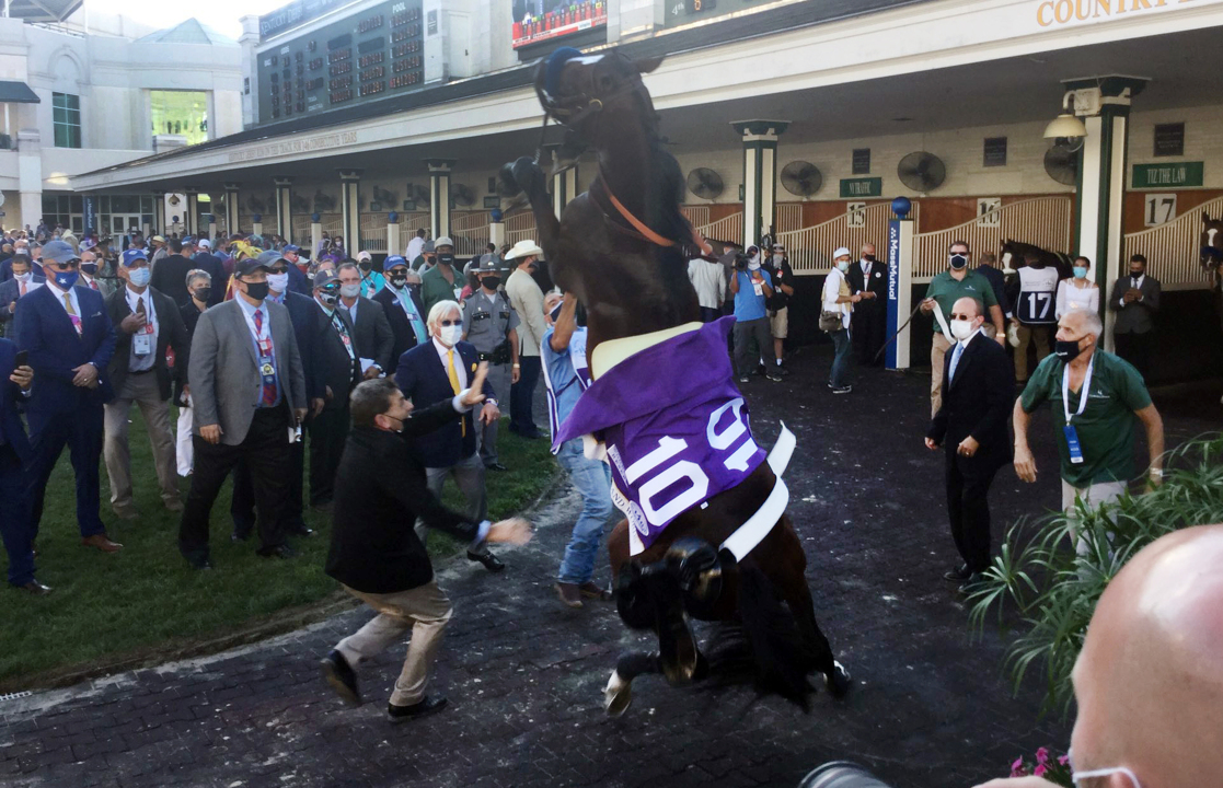 Update on Thousand Words after rearing up in Churchill Downs paddock