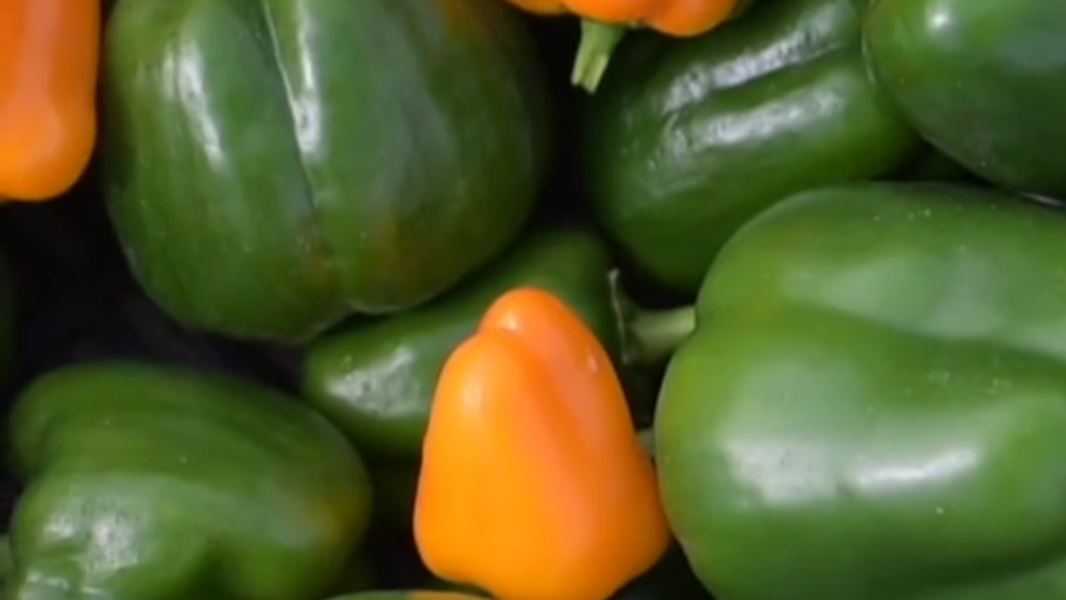 Pounds of produce donated to food bank from Arboretum