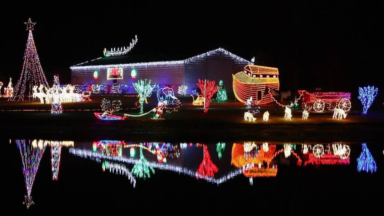Check out these awesome holiday lights