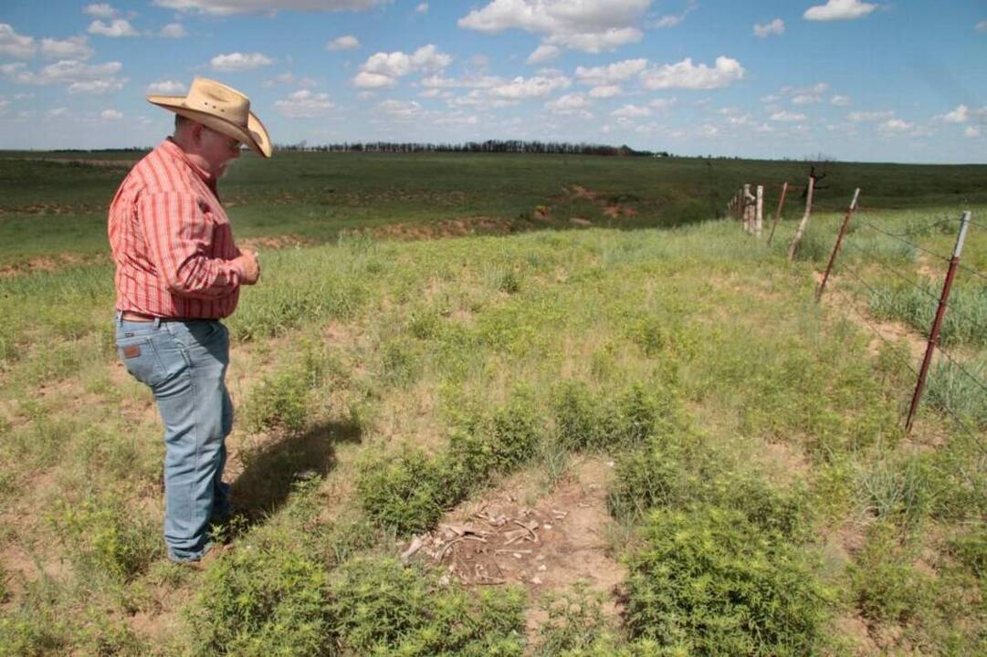 Rebuilding ranches after the wildfire could take a lifetime