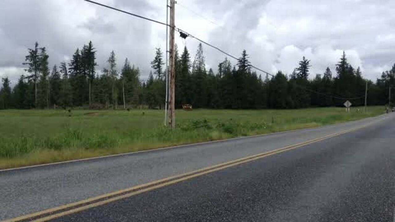 Ski to Sea road biking leg a rush to Everson for cyclists