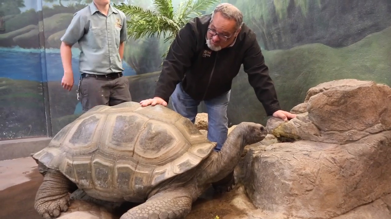 Zoo Boise's new director loves animals