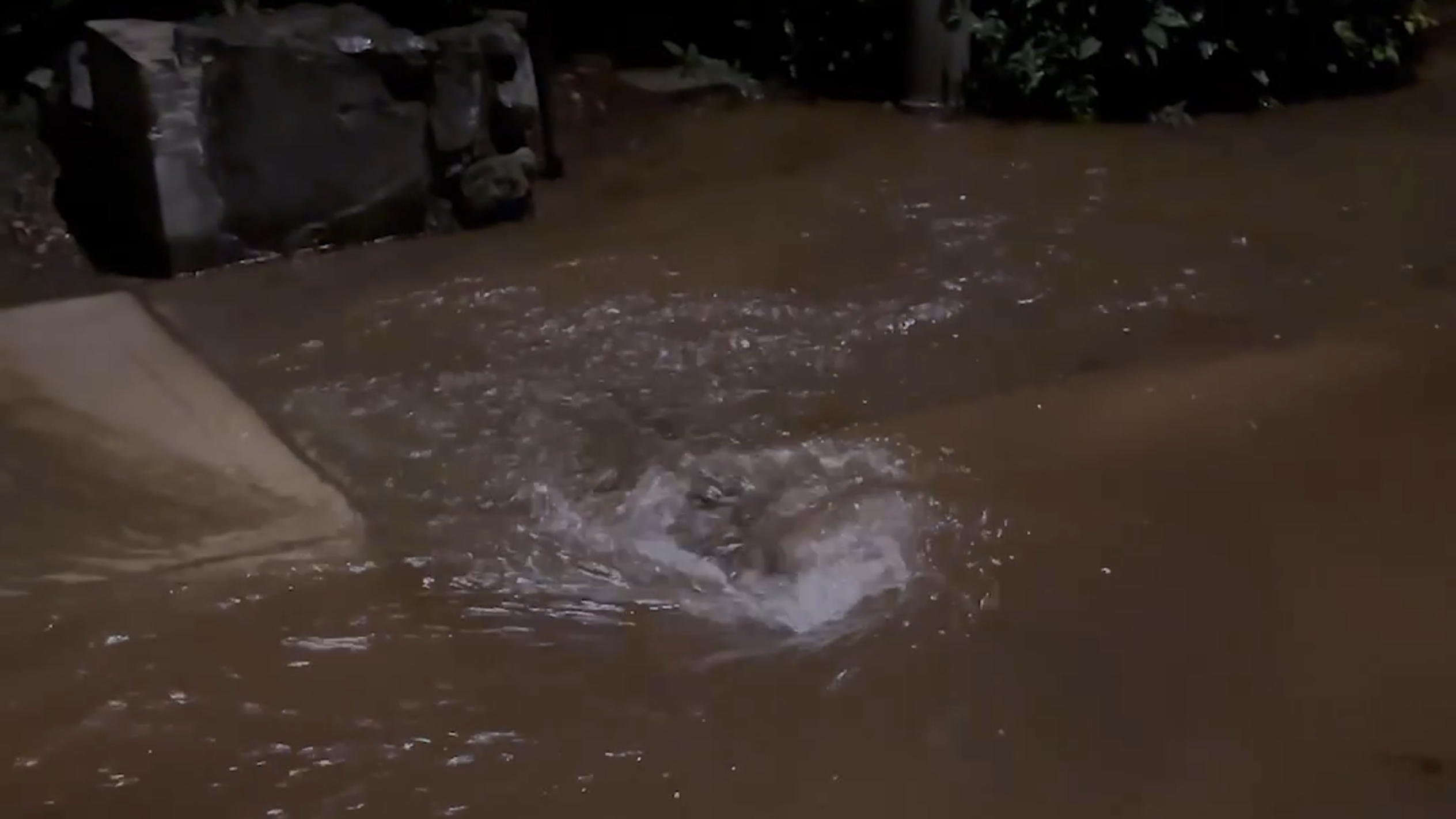 Tacoma utility pays $1.4 million after home flooded by broken water main