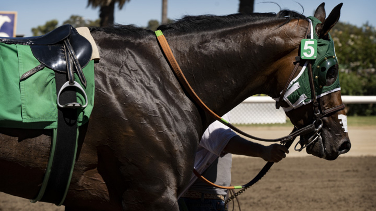 Here’s what horse racing at the California State Fair looked like in 2019