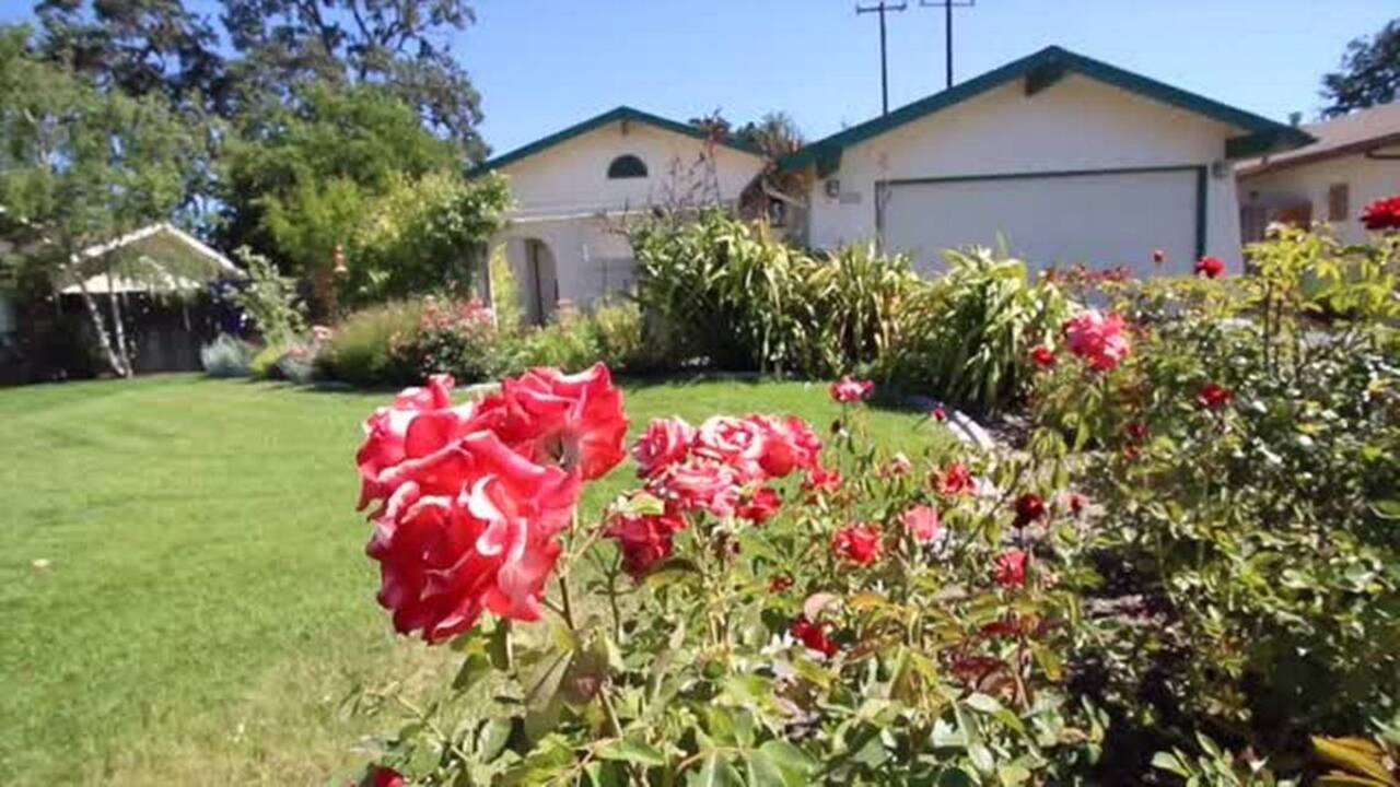 An up-close look at the Grosjean garden in Paso Robles