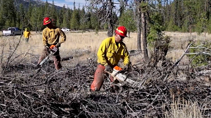Forest Service makes Idaho recreation areas safer from wildfires