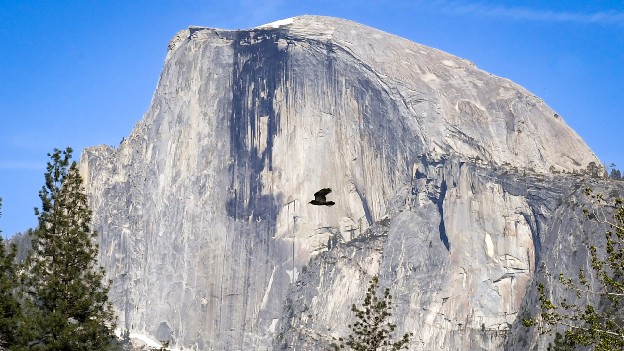 How busy is Yosemite National Park this summer? Changes and openings announced