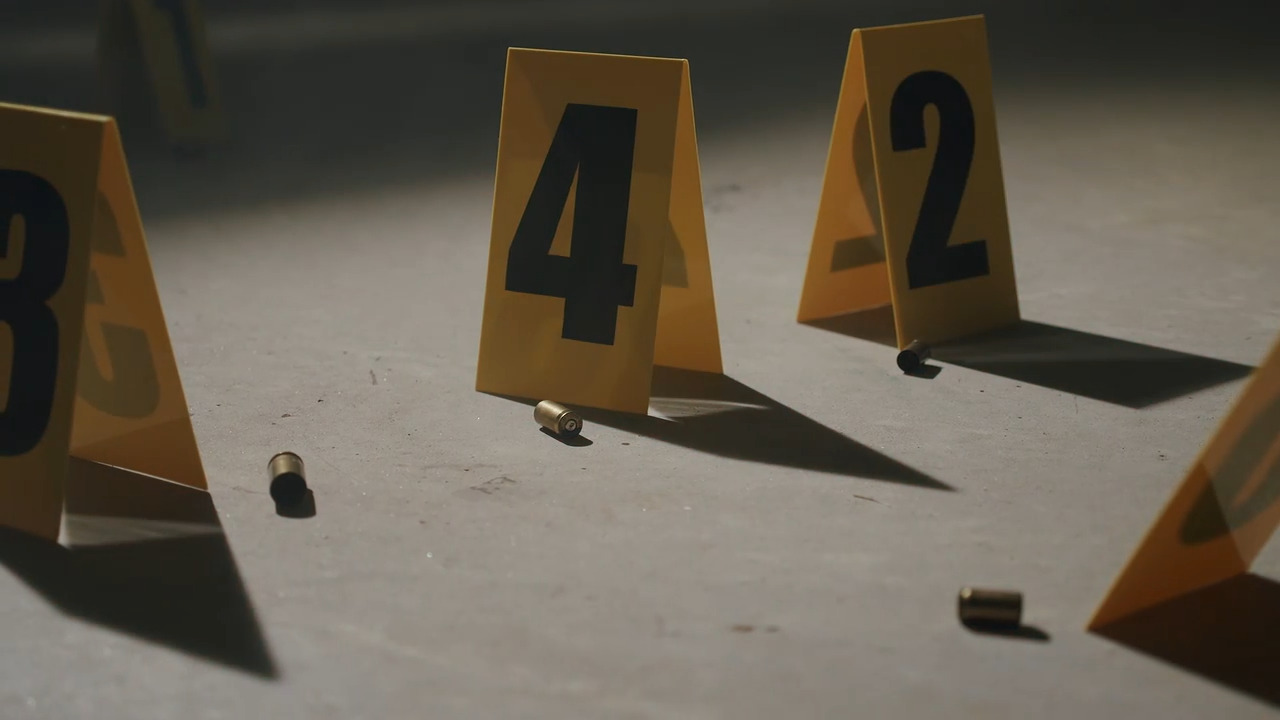 It will take all of us to push the Senate to listen to the majority on gun matters